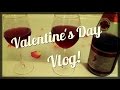 Valentine's Day Vlog 2015! | BreeAnn Barbie