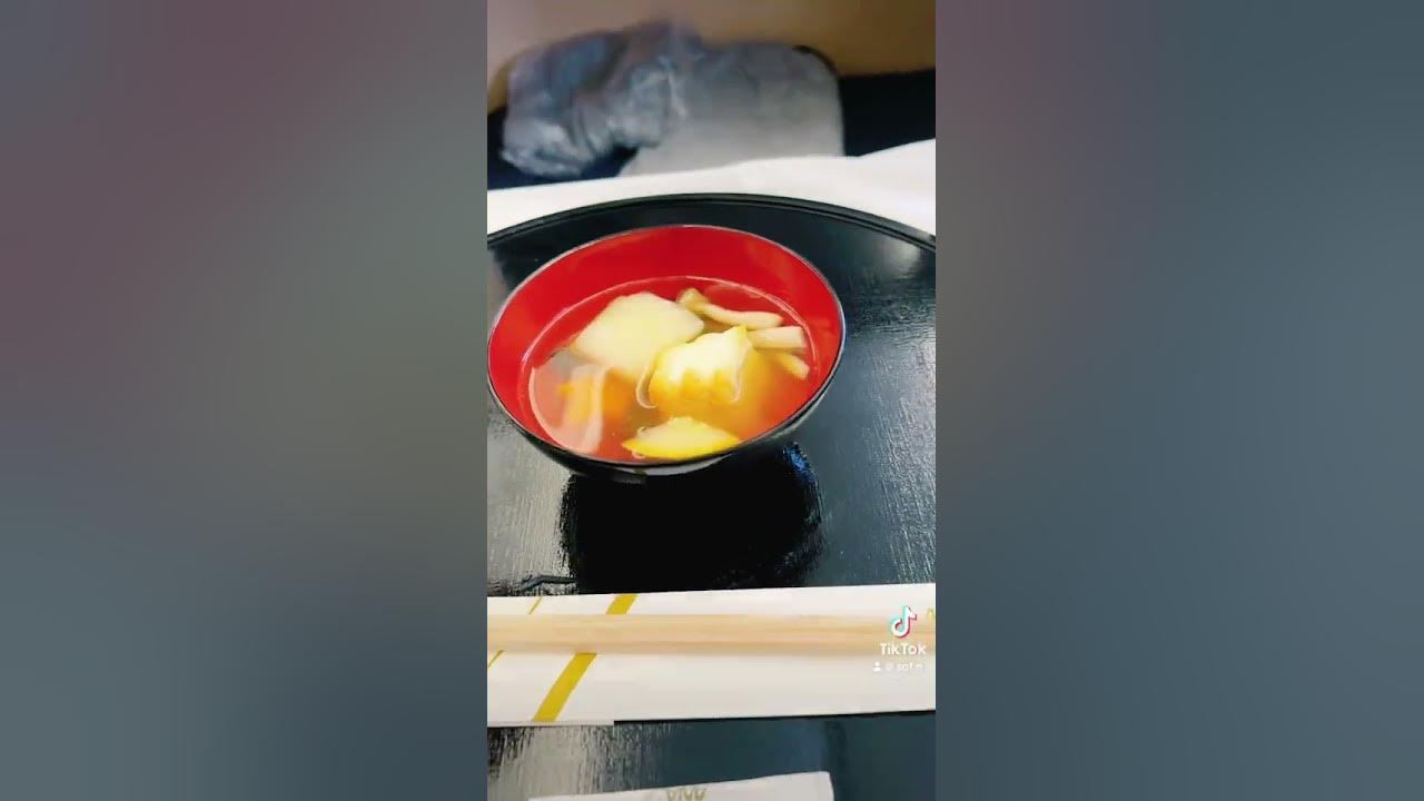 trip-plog-ana-first-class-flight-from-chicago-to-japan-youtube