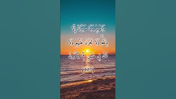 السورة: النحل القارئ: خالد الجليل الاية: 127-128