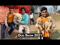 International dog show | Patiala dog show 2021