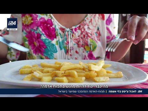 Eating French Fries Without Guilt The Revolutionary Potato Made In Israel 