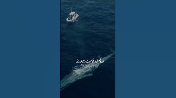 فَاسْتَجَبْنَا لَهُ وَنَجَّيْنَاهُ مِنَ الْغَمِّ - سورة النبأ #اسلام_صبحي