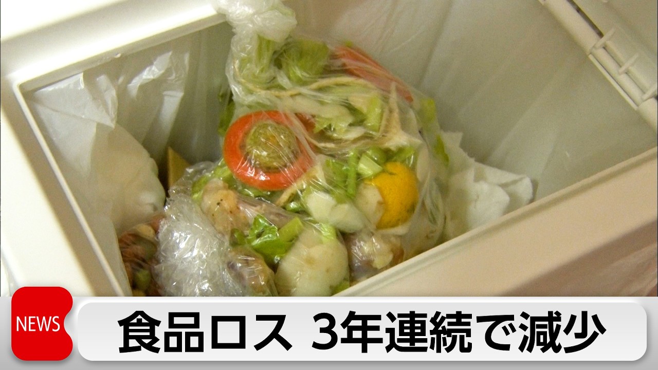 4.61 Million Tons of Food Waste in FY2024: 3rd Straight Annual