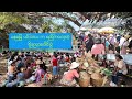 စည်ကားလှတဲ့ ဓနုမြေ ပင်းတယ တပေါင်းပွဲ မြင်ကွင်းများ