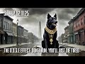 The D.O.G.E Effect: Don't Run, You'll Just Die Tired - SITREP 02.11.25