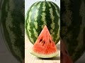 This never gets old 🍉#watermelon #satisfyingvideo #oddlysatisfying #asmrcontent #smoothcuts