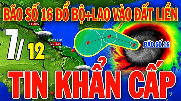 🔴[Trực Tiếp] Tin bão SỐ 16 Mới Nhất | Dự báo thời tiết hôm nay ngày mai 7/12 | Thời tiết 3 ngày tới