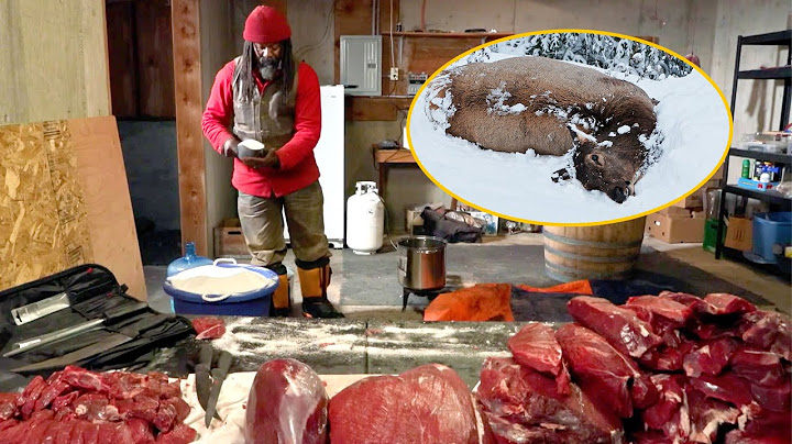 He Hunted A Massive 428-Pound Elk, And There's So Much Meat It Won't Fit In The House!