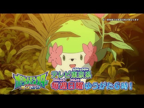 【公式】ポケットモンスター サン＆ムーン　ポニ島で自由研究!!