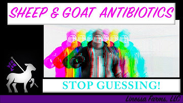 Correct Medications For Sheep and Goats