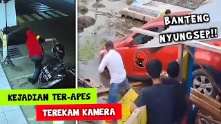 BANTENG NYUNGSEP!! Deretan Momen Apes Yang Terekam Kamera #5