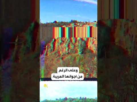 قرية مبنية على صخرة
