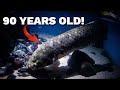 The Oldest Aquarium Fish in the World!