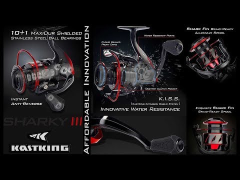 The ALL NEW