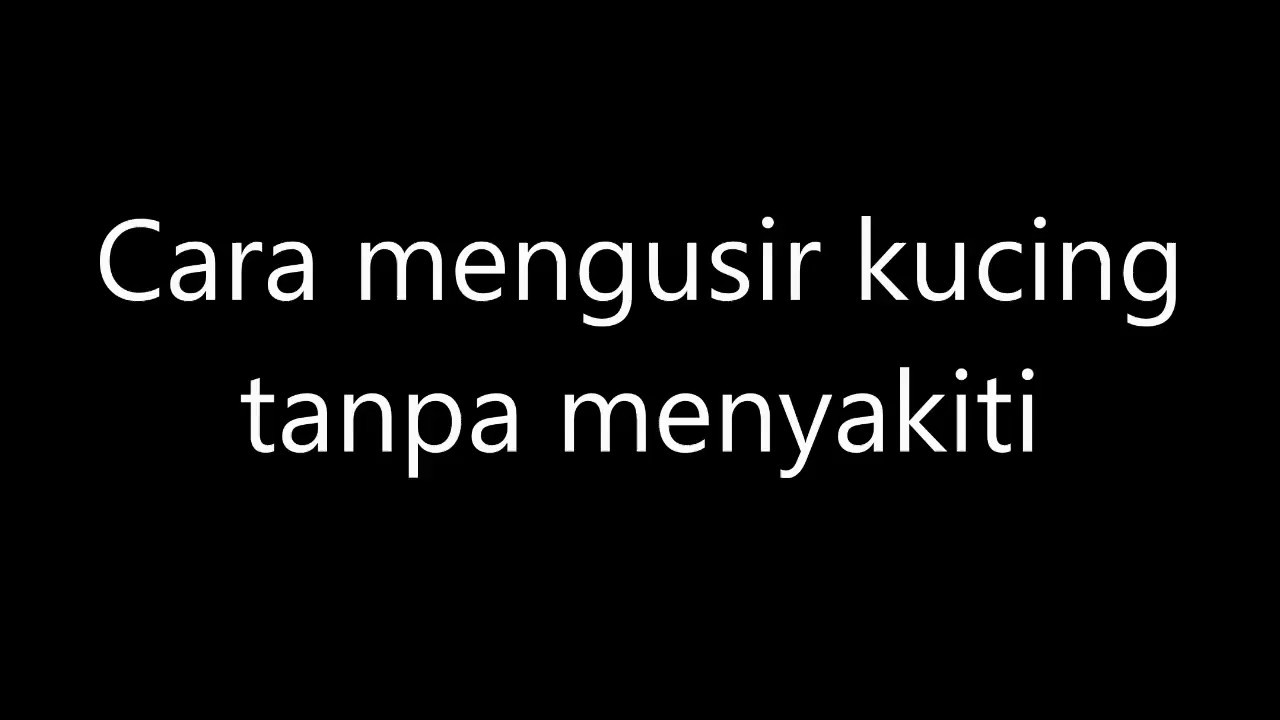 Cara mengusir kucing tanpa menyakiti