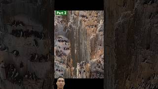 #birds #movie #animals #eagle #music #reaction #review #shortvideo #familyhappyyt #eagles #falcon