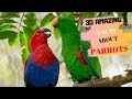 30 Amazing Facts About Parrots