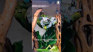 Amazon Milk Frog 🐸 This Frog Looks FAKE!
