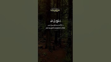 سورة يوسف. #اسلام #اكسبلور #المصحف #راحة_نفسية #تلاوة_خاشعة #تيك_توك #قرآن #لايك #islam #muslim