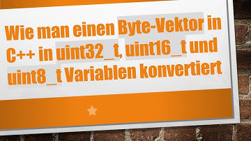 Wie man einen Byte-Vektor in C+ +  in uint32_t, uint16_t und uint8_t Variablen konvertiert