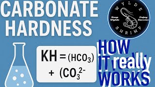 What is KH in aquariums (Carbonate Hardness)