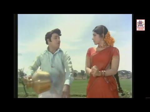 Nethu Poothaley  Roja Mottu HD Song | MGR  Latha | TMS | Urimai Kural | நேத்து பூத்தாலே