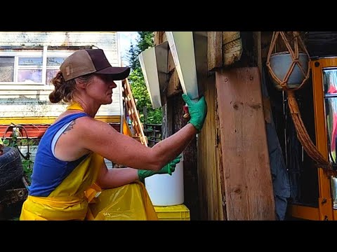 Butchering Chickens For The First Time |  Culling 2 Injured Meat Birds By Hand