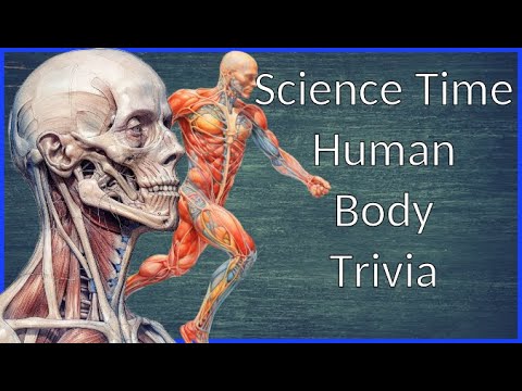 Human Body Trivia | Test Your Knowledge with the Human Body Quiz ...