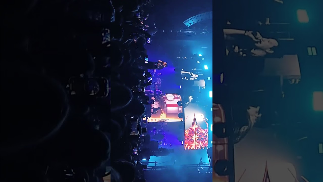 19.12 mzlff глобальный вайп