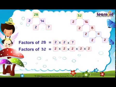 Class 5: Common Factor - YouTube