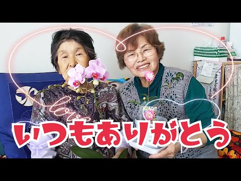 お花 お 礼状 お花 お 礼状