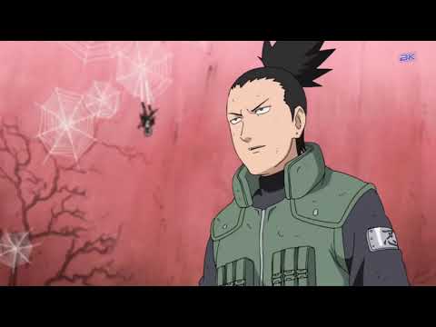 Наруто, Шикамару, Неджи