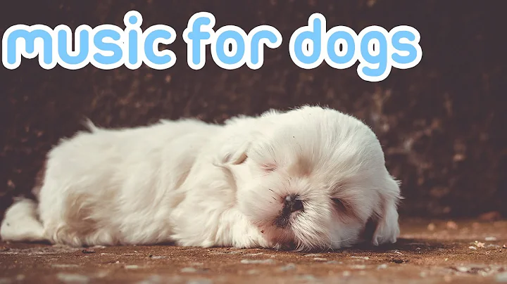 15 HOURS of Deep Sleep Relaxing Dog Music! NEW Helped 10 Million Dogs! - DayDayNews
