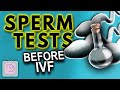How good is your partner's sperm for IVF? Essential fertility tests for IVF success