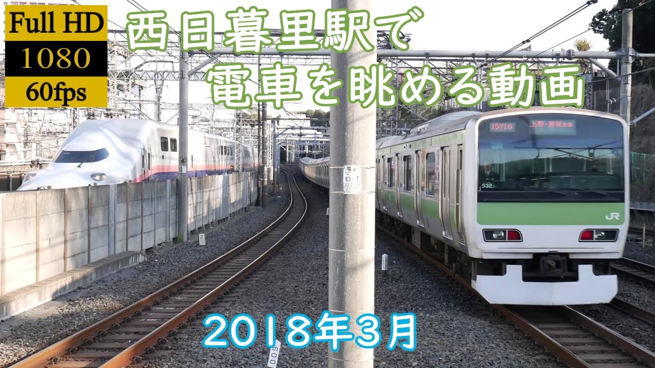 【走行シーン】西日暮里駅で電車を眺める動画　(山手線・京浜東北線・宇都宮線・高崎線・新幹線)