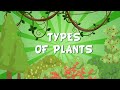 Understanding Plant Classification