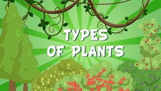 TYPES OF PLANTS | Educational Videos for Kids