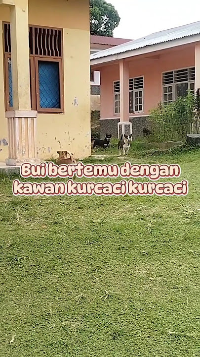 Bertemu para kurcaci di taman