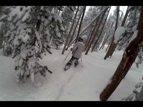 Tweedle Dum Trees, Winter Park, Colorado, April 17...
