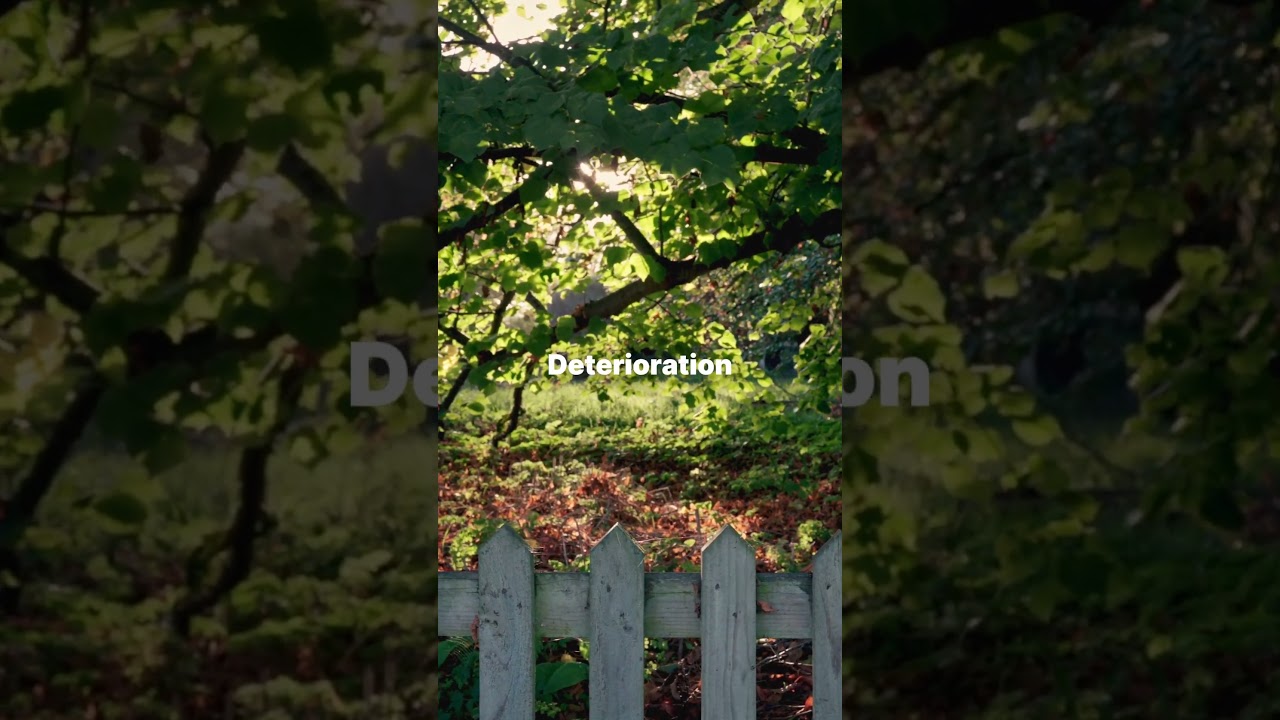 Is your fence starting to show its age?