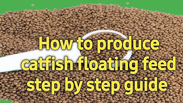 How to produce catfish Floating feed step by step guide