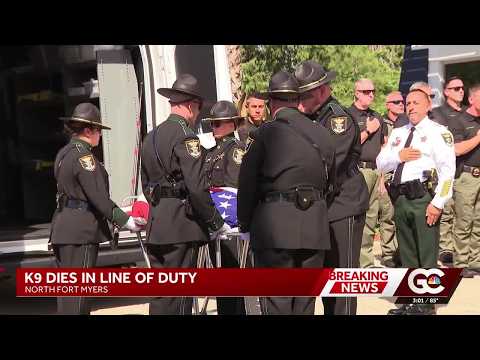 Lee County K9 Dundee dies in line of duty after responding to call where multiple arrests were made