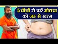 इन 5 चीजों से करें मोटापा को जड़ से खत्म || Swami Ramdev