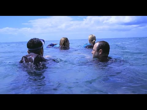 Download The Reef Official Trailer [2010]