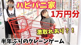 【クレーンゲーム】家族で1万円分!!!半年ぶりの腕前は世界最多数のお店に遊びに行ってきました【ハピバニチャンネル】