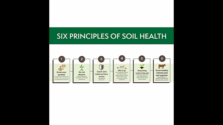 Soil Health Principles Are All Interconnected