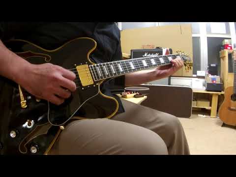 Edwards E-SA-138LTC エドワーズ セミアコ　値下げ交渉可 Edwards E-SA-138LTC エドワーズ セミアコ 値下げ交渉可