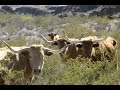 Environmental Lessons from Texas History and Geology