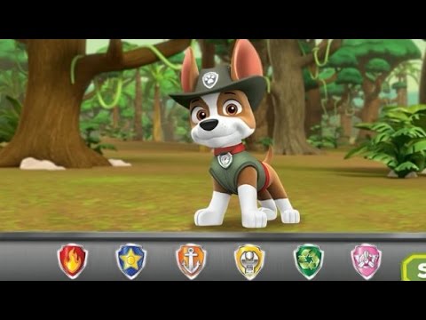 Paw Patrol - New character. Tracker rescue in the jungle 