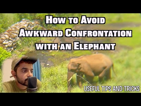 ENJOYING THE INDIAN RAINFOREST with Naveen Richard